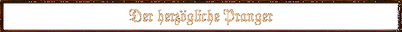 Der herz�gliche Pranger